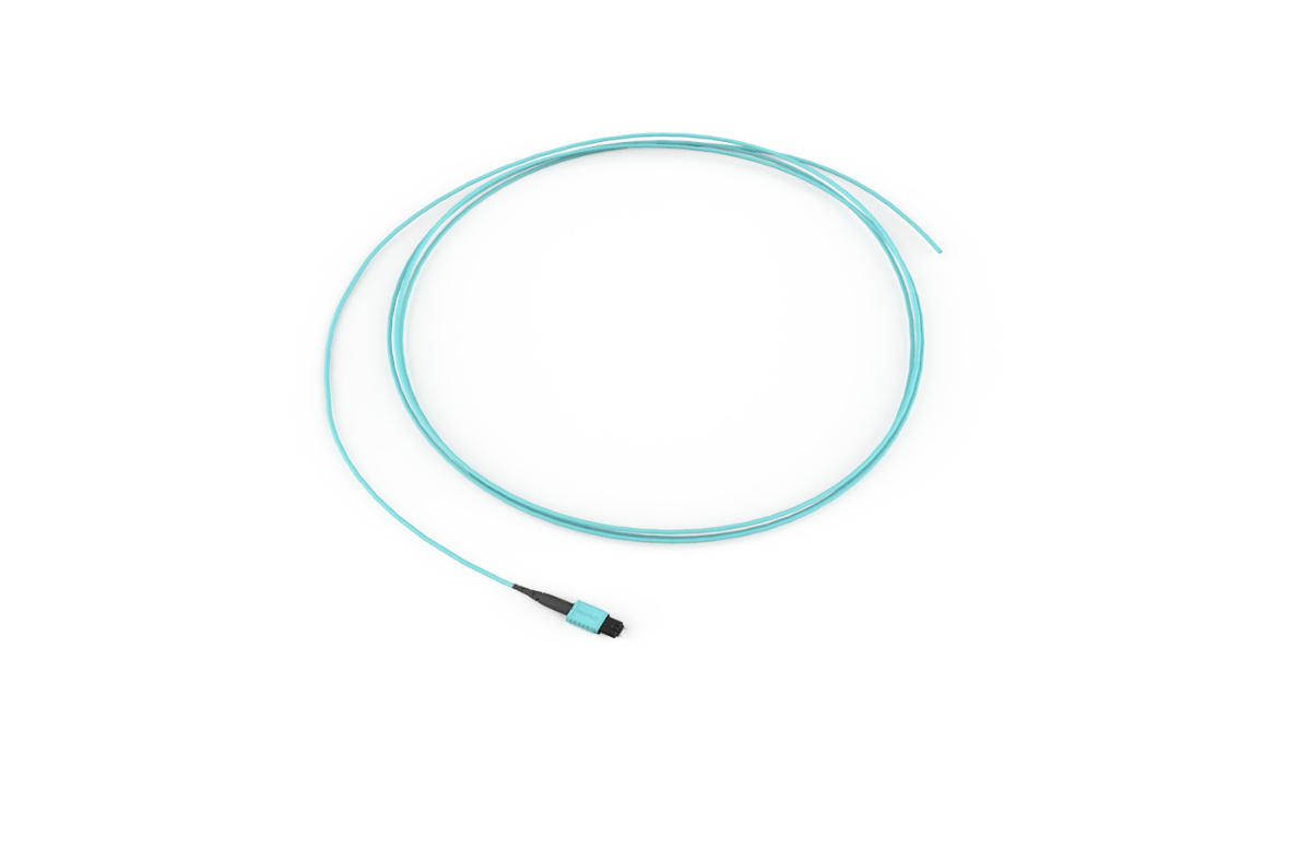 50 µm multimode (OM4), 8F MTP PRO (pinned) to 8F MTP PRO (non-pinned), 8F, with 24 inch leg lengths, TIA-568 Type-B polarity, 10 ft
