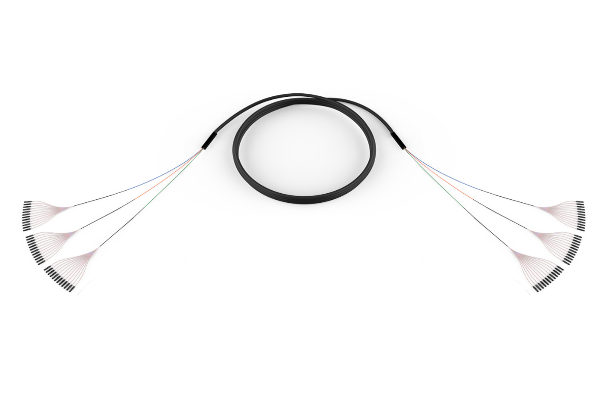 864F, 24F Fast-Track MTP to 24F Fast-Track MTP, Outdoor RocketRibbon Cable (Gel-Free), Single-mode, SMF-28 ULTRA, Water resistant grip on both ends, 100 feet